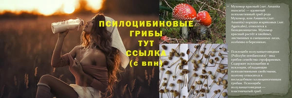 спайс Абдулино