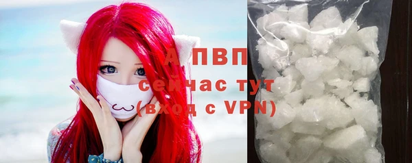 винт Алексин