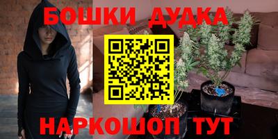 a pvp Лесосибирск
