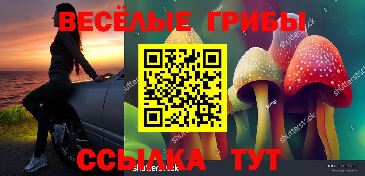 где найти   Вход с VPN  Красноуфимск  Галлюциногенные грибы Cubensis 